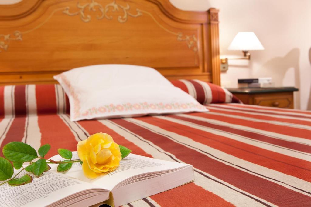 Single Room,11803767:JPEG